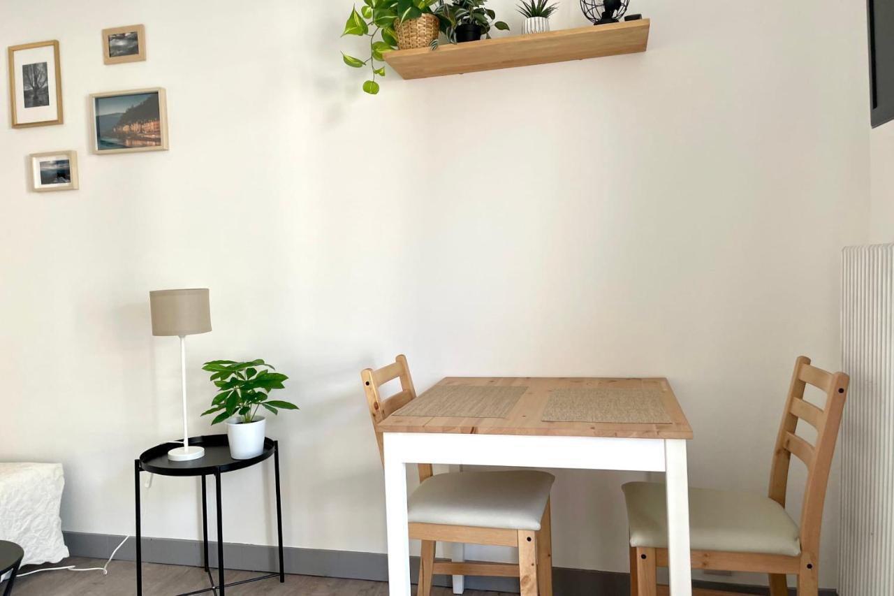 #Dd L'Ecrin Studio Ile Verte Balcony Grenoble Exterior foto